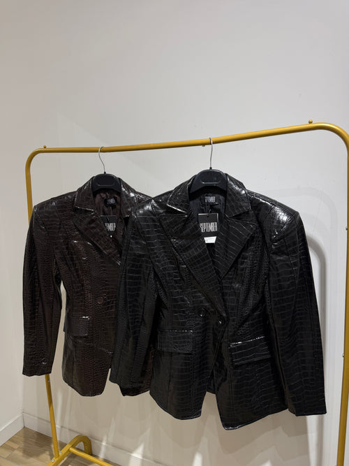 Blazer Snake